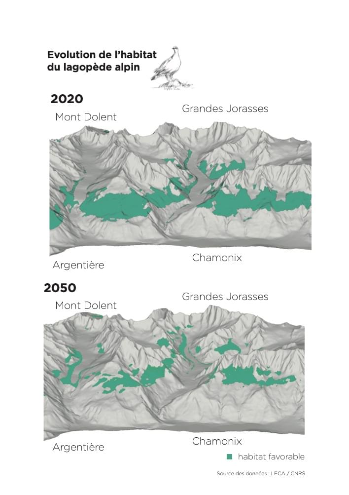 Evolution de l'habitat du lagopède alpin entre 2020 et 2050